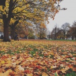 Autumn Seasons