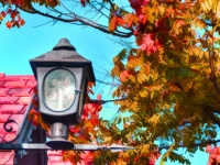 Autumn Street Lantern