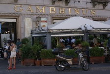 Bar Gambrinus