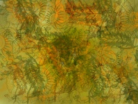 Batik Floral Background