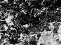Black And White Marble Rock Texture