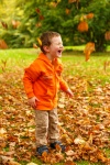 Boy In Autumn Leaves