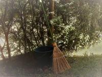 Broom, Nature, Outdoor