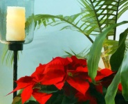 Candle And Poinsettia Flowers
