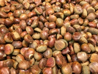 Chestnuts Background