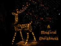 Christmas Background Reindeer