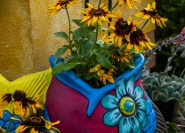 Clay Pot Of Blooming Flowers