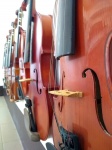 Close Up Of A Row Of Violins