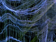 Cobweb Net Background