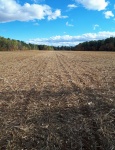 Corn Fields After Harvest
