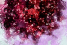 Cranberry Splash Background