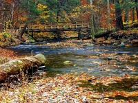 Creek In Fall