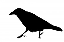 Crow, Bird Silhouette Clipart