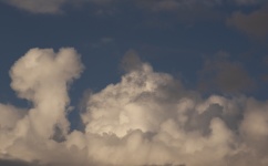 Cumulus Clouds Background