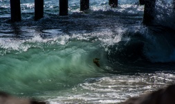Curl Of Ocean Surf