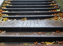 Damp Autumn Fall Leafy Stairway