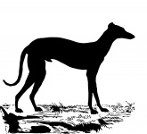 Dog, Greyhound Silhouette
