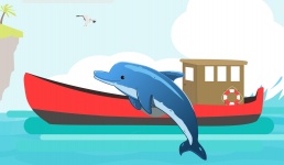 Dolphin Sea Animal