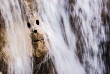 Face In The Water