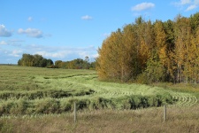 Farmers Field In Fall