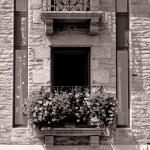 Window And Flowered Balcony