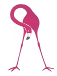 Flamingo Pink Clipart