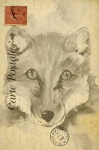 Fox Vintage Postcard Watercolor