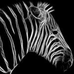 Fractal Zebra