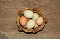 Fresh Eggs In Wicker Basket