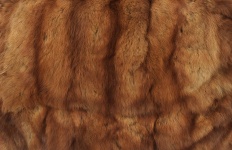 Fur Texture Background