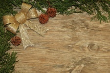 Gold Bow And Cedar Background 2
