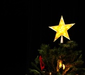 Gold Christmas Tree Star Background