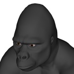 Gorilla Portrait