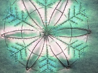 Green Lighted Snowflake