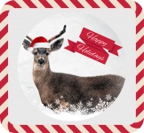Happy Holidays Deer