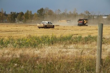 Harvest With A Combine