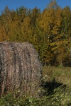 Hay Bale In A Farmers Field