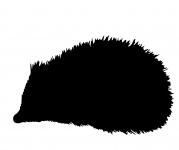 Hedgehog Silhouette Clipart