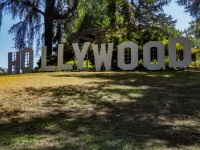 Hollywood Sign Mock-up