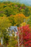 House In Autumn