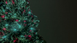 Lighted Christmas Trees