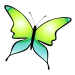 Lime Butterfly