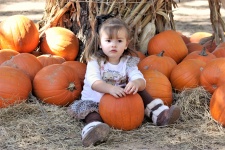 Little Girl Sitting With Pumpkins