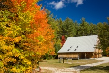 Log Cabin In Autumn