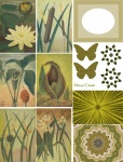 Moss Green Collage Sheet