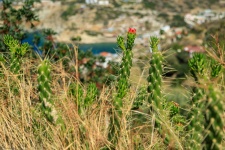 Nature Of Crete