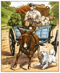 Pig Driving Cart Illustration