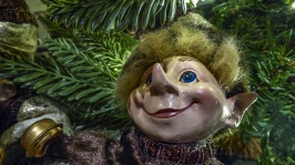 Pixie Elf At Christmas