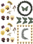 Pressed Flowers Collage Sheet