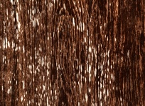 Real Wood Background